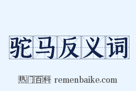 驼马反义词是什么意思的图片
